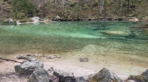 🇸🇮🇸🇮Исток горной реки🇸🇮🇸🇮Камнишка Бистрица🇸🇮🇸🇮Словения🇸🇮🇸🇮