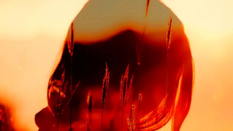 Красный свет...ИИ