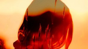 Красный свет...ИИ