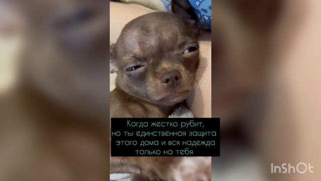 Когда жестко рубит … Когда жестко рубит …