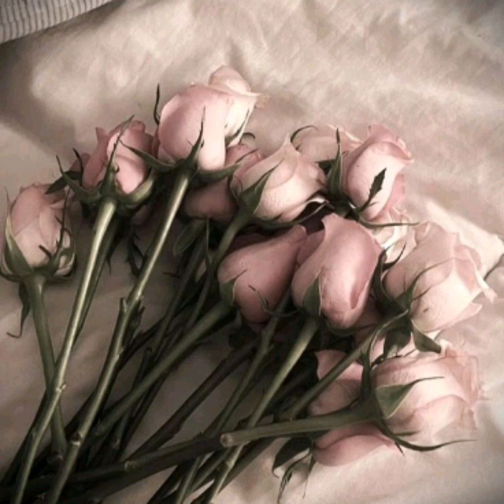 проводим время со мной смотреть онлайн