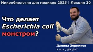 Патогенные эшерихии и шигеллы