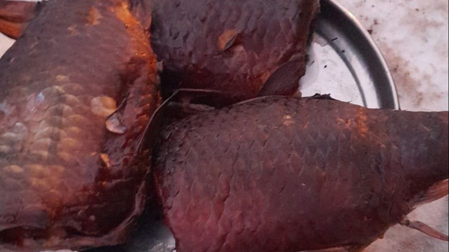 МЕЧТА РЫБАКА .