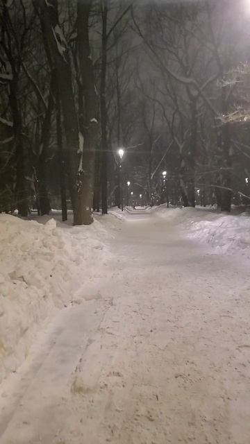 Белая метелица 07.02.26 смотреть онлайн