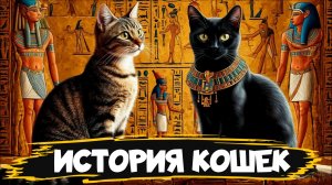 От диких хищников до домашних любимцев: удивительная история кошек