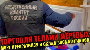 Морг в Петербурге стал черным мясным рынком: трупы резали и продавали за взятки