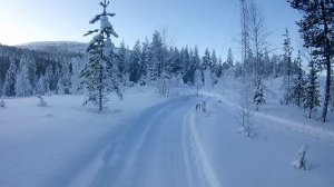 Аодес SWT 800 ,Турбо .