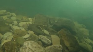 водопад под водой