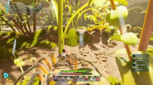 ГРАУНДЕД 2 МНОГО АВАНПОСТОВ В САДУ! ЯЙЦО БОЖЬЕЙ КОРОВКИ!