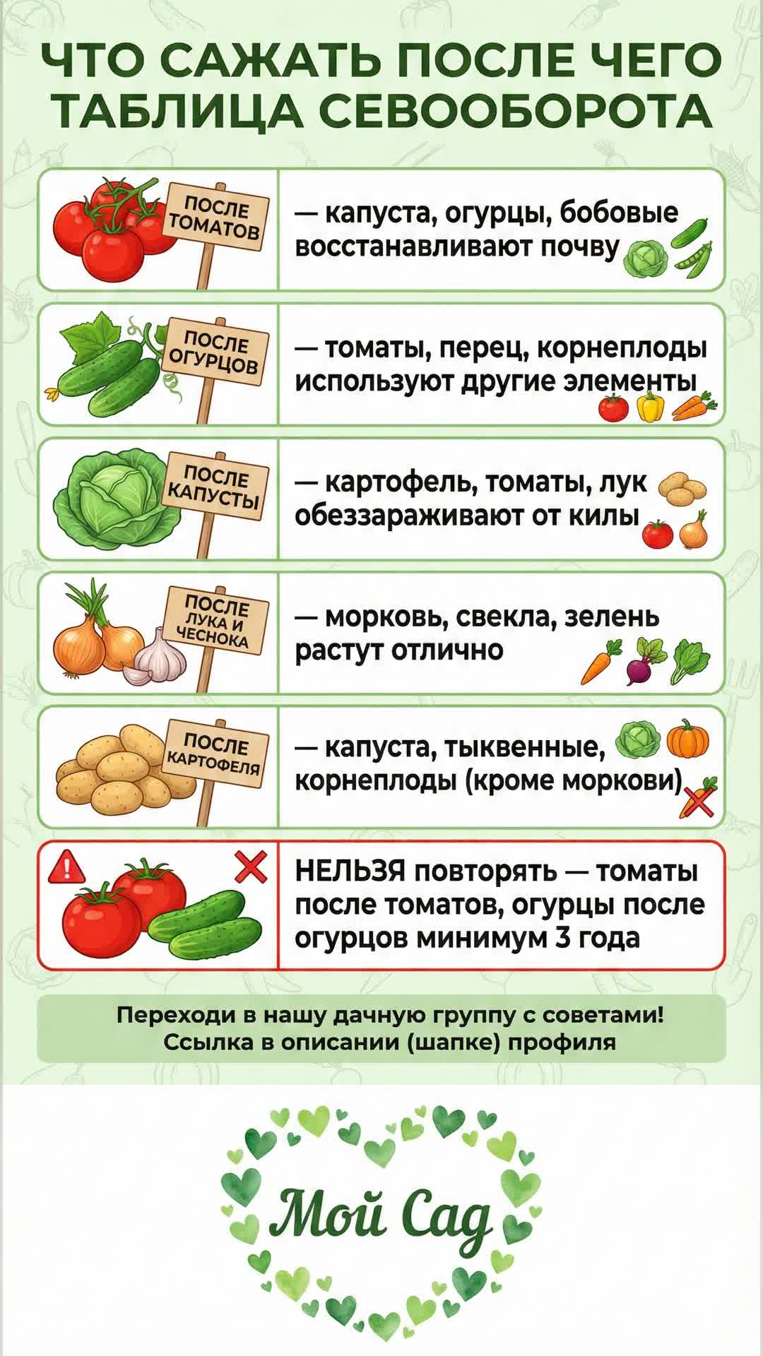 Что посадить после чего: секреты севооборота