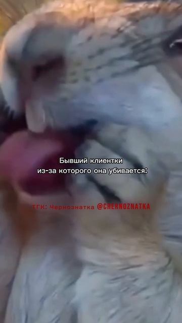 Было же? 😹 #чернознатка #ведьма #бывший