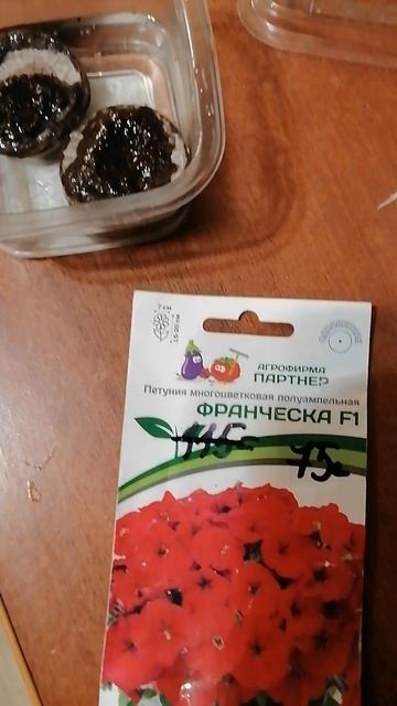 Сажаем лобелию и петунию 5