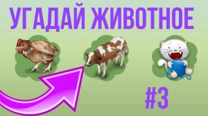 Детские забавы - угадай животное #3 | Развивающие игры для детей