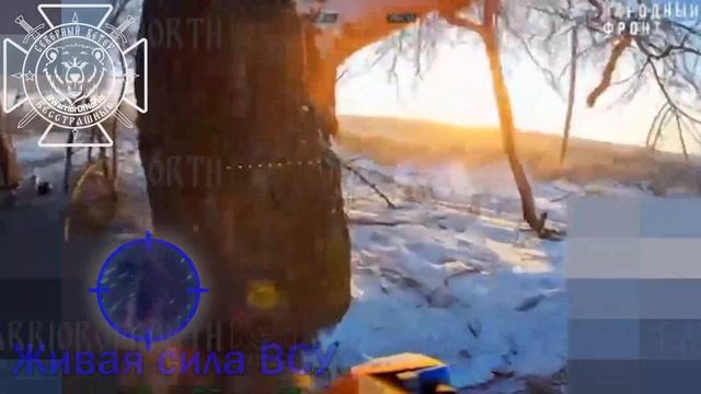 Дроноводы Северян уничтожают л/с ВСУ смотреть онлайн