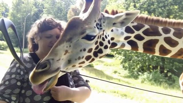 36975229044311f1b45bae63e134159b.mp4