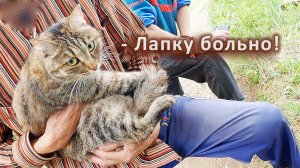 Маша пострадала