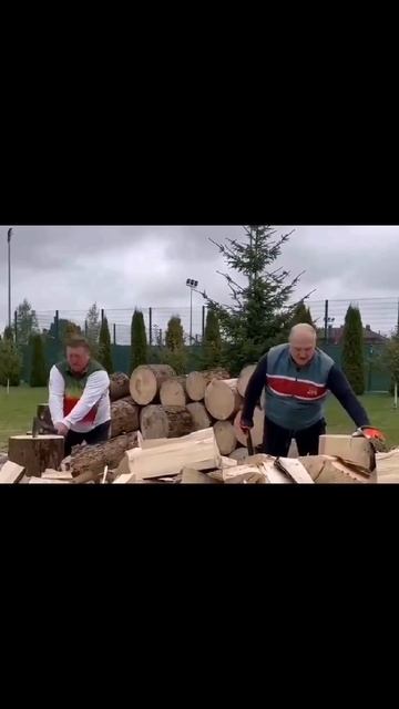 Лукашенко рубит дрова