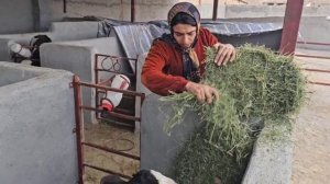 Процесс сборки доильных аппаратов, получение печати генерального директора Тайябой.