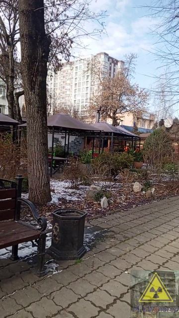 природа Краснодара