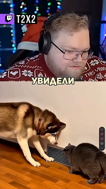 ДЫХАНИЕ ИВАНГАЯ 😇 — #t2x2 #т2х2 #twitch #реакция #юмор #мем #shorts