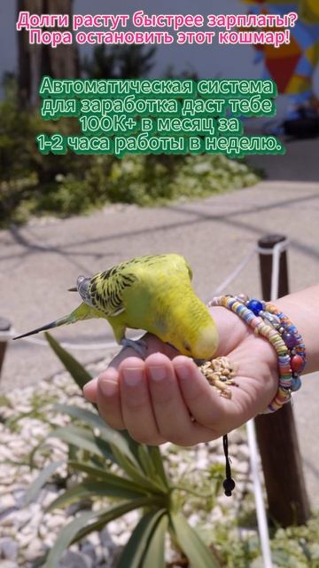 Как за месяц выйти на доход выше среднего, мой секрет