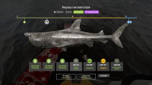 Вываживание гигантской акулы более 700 кг (полная версия без комментариев)