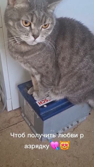 Зарядка⛽️🤭