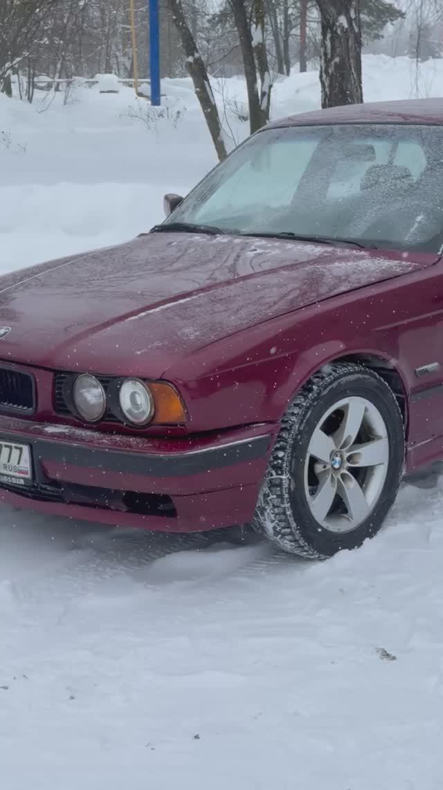 IMG_8280 смотреть онлайн