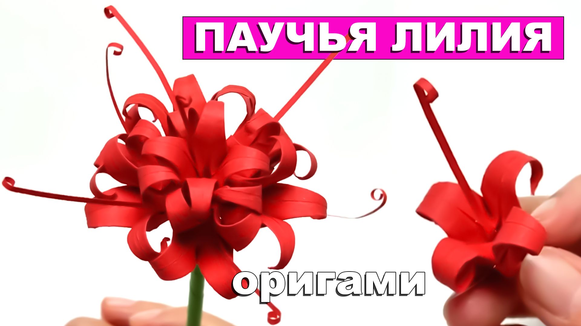 Оригами Паучья Лилия из бумаги 🌸 Как сделать Ликорис из бумаги. Создание цветка лилии-паука оригами