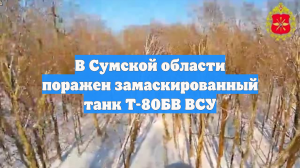 В Сумской области поражен замаскированный танк Т-80БВ ВСУ
