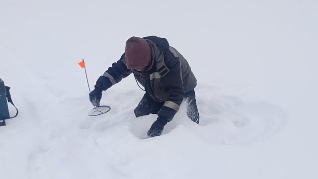 Налим на жерлицы! Сезон 2026