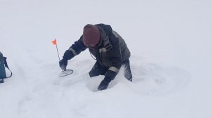 Налим на жерлицы! Сезон 2026