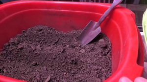 Грунт для выращивания рассады