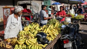 Роспотребнадзор призвал туристов не есть сырые фрукты в странах с вирусом Нипах