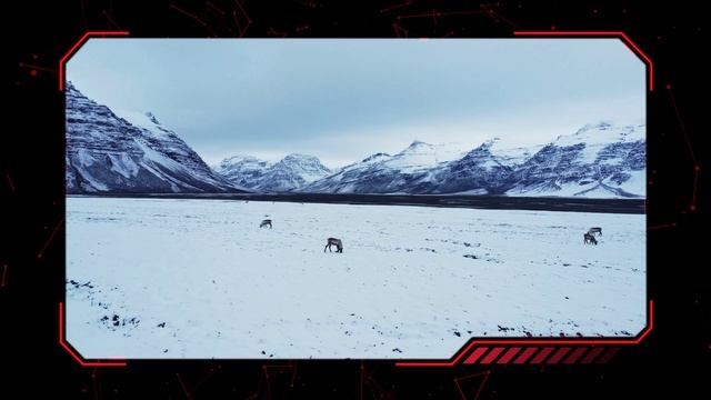 ВЗГЛЯД ОТ АРХАНГЕЛОВ. ГРЕНЛАНДСКИЙ ТУПИК