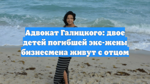 Адвокат Галицкого: двое детей погибшей экс-жены бизнесмена живут с отцом