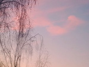 Вопросы ответы от Иришки