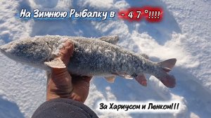 ЗИМНЯЯ РЫБАЛКА в ЖЁСТКИХ УСЛОВИЯХ 2026!!! УРА Мы на ТЫНДЕ и почти в -50°!!!🥶