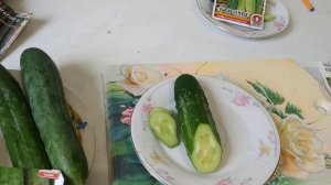 Сорта и гибриды огурцов.