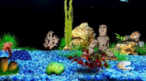 АкваМир - 3D аквариум