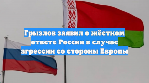 Грызлов заявил о жёстком ответе России в случае агрессии со стороны Европы