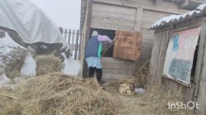 Что купил сын//разбила чайник, замена//заготовка мяса// хозяйство//