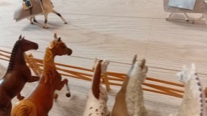 Модный показ (лошади Шляйх) 1 и 2 выходы