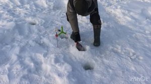 Основной водоём.Поимки