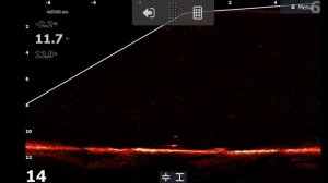 Судака много, но .....