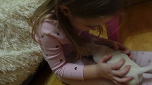 МЫ И НАШИ ЩЕНКИ ЧИХУАХУА! ПОКУПКИ!