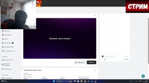 стрим с вебкой