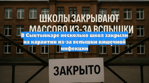 В Сыктывкаре несколько школ закрыли на карантин из-за вспышки кишечной инфекции
