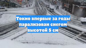 Токио впервые за годы парализован снегом высотой 5 см