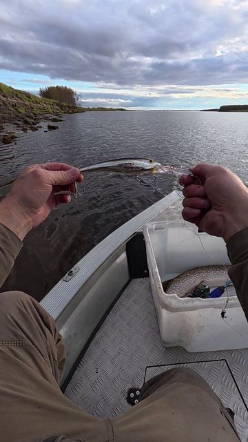 Последний ВОБЛЕР!!! смотреть онлайн